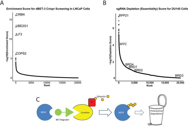 Figure 6: