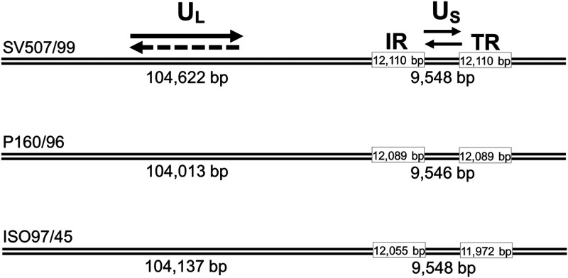 FIG 1