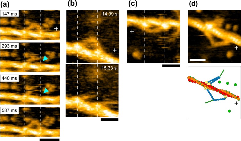 Fig. 10