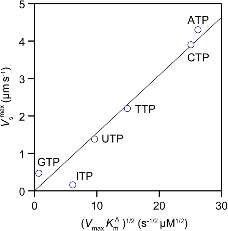 Fig. 5