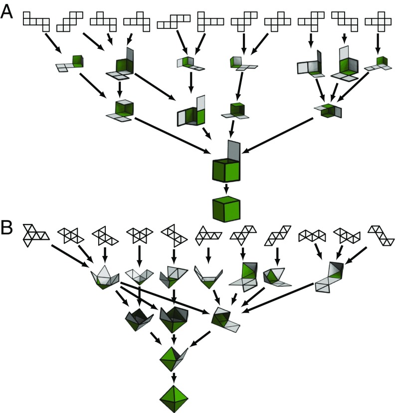 Fig. 5.