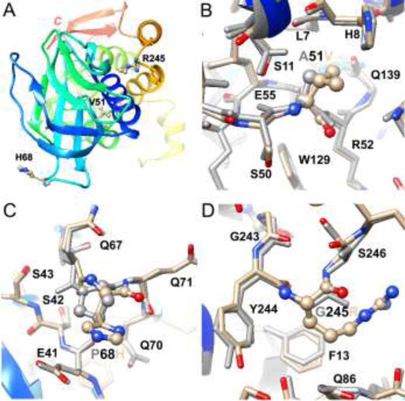 Fig. 7