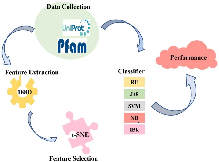 FIGURE 2