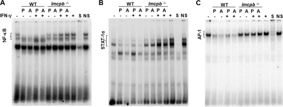 FIG. 7.