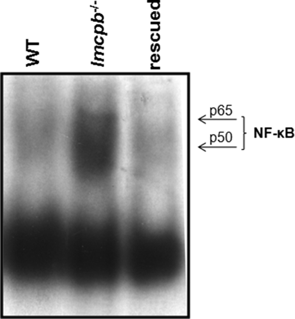 FIG. 6.