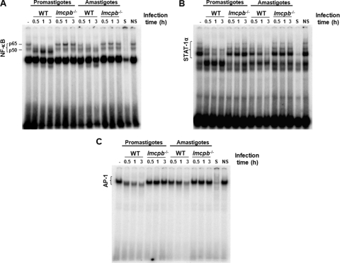 FIG. 5.