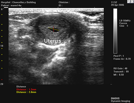 Fig. 7