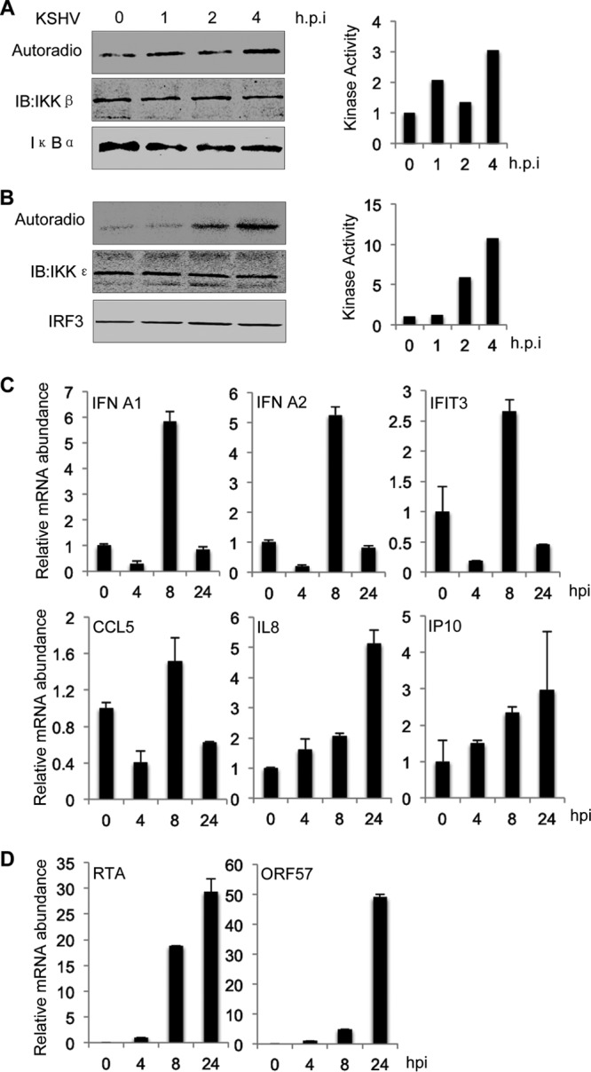 FIG 4