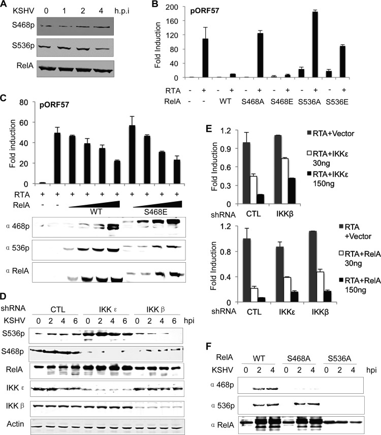 FIG 6