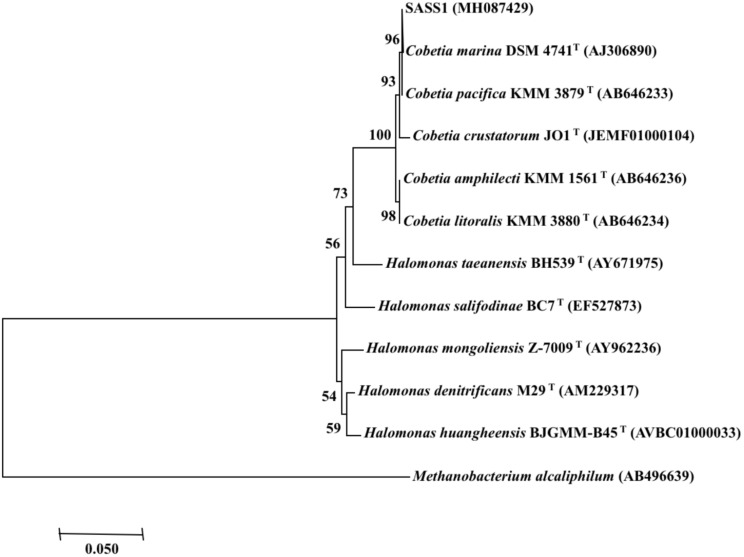 FIGURE 1