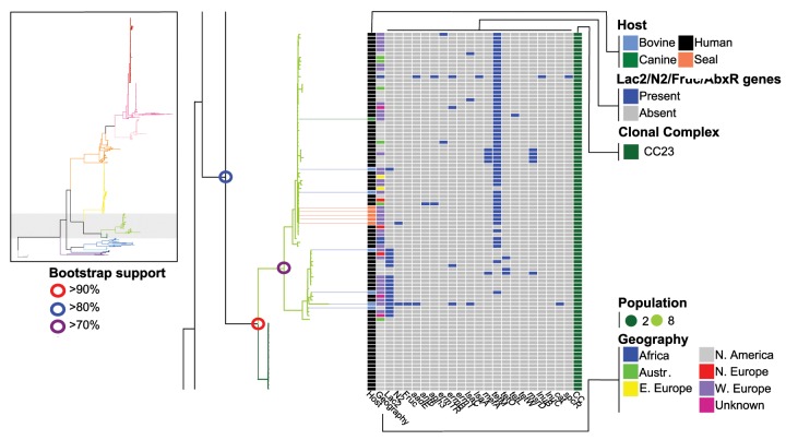 Fig. 8.