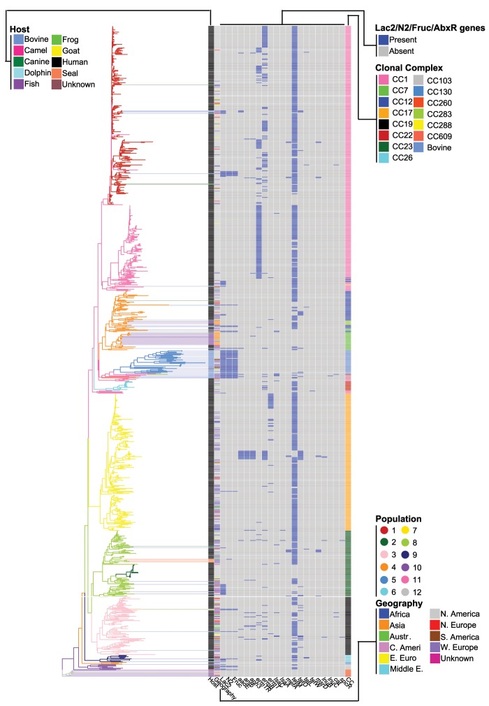 Fig. 4.