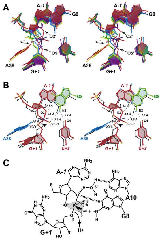 FIGURE 6