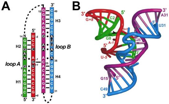 FIGURE 1