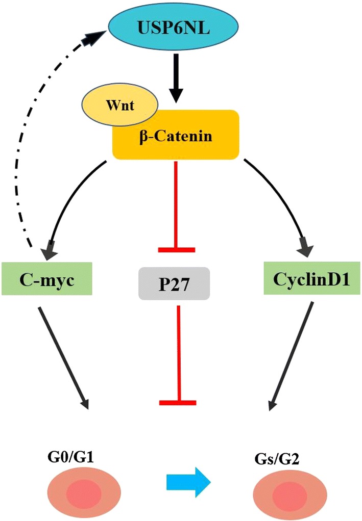 Fig. 7