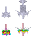 Figure 11