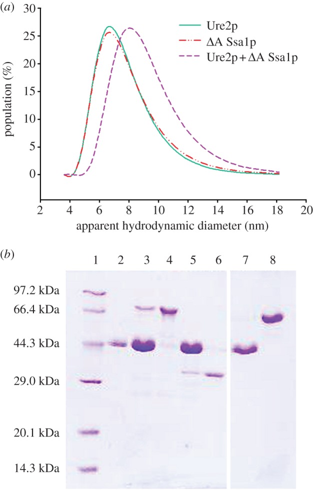 Figure 7.