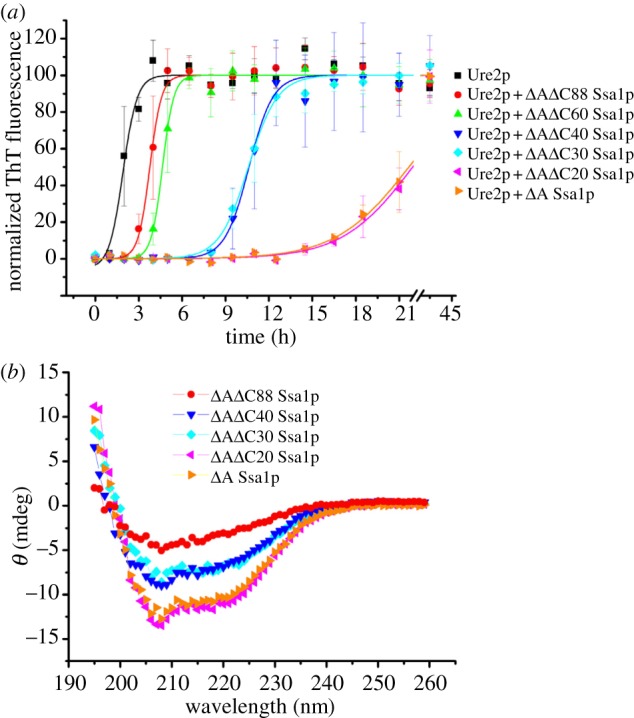 Figure 4.