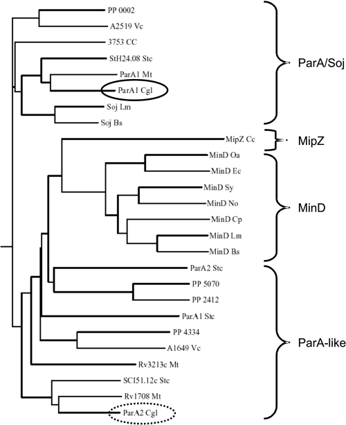 FIG. 1.