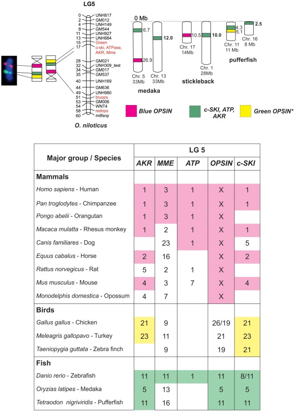 Figure 5