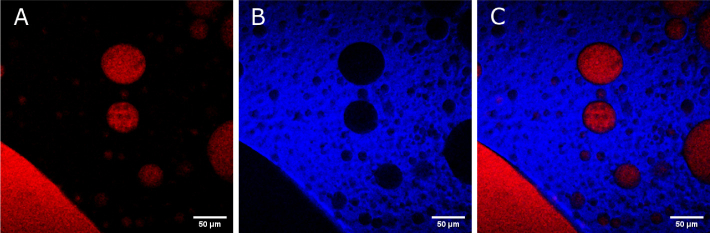 Fig. 8.