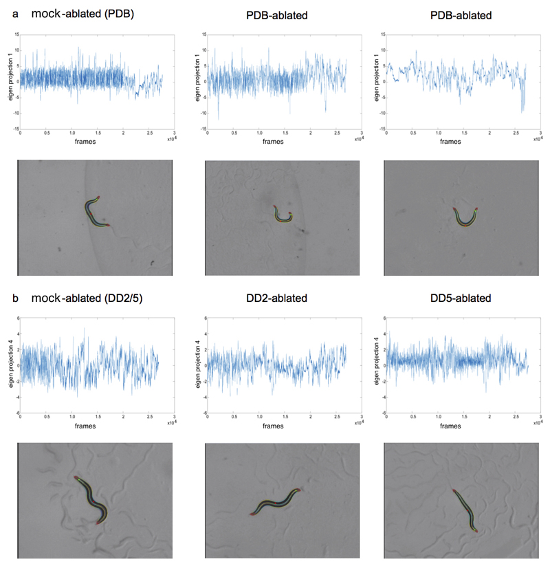 Extended Data Figure 6