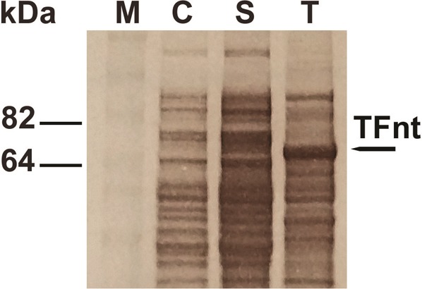 Figure 4.