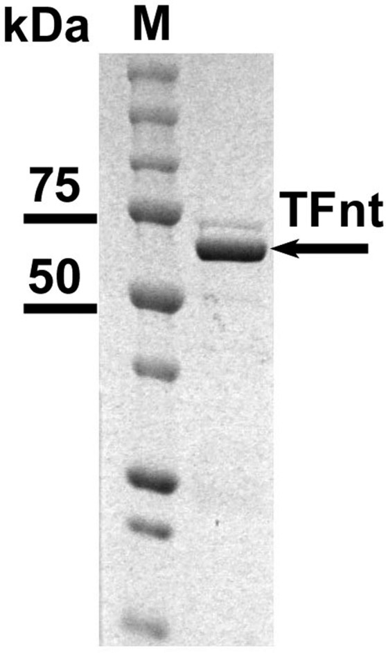 Figure 5.