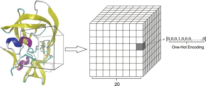 Fig. 1