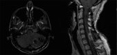 Figure 6: