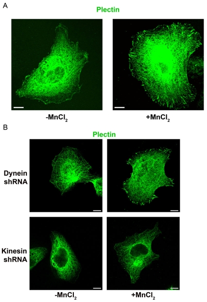 Fig. 9.