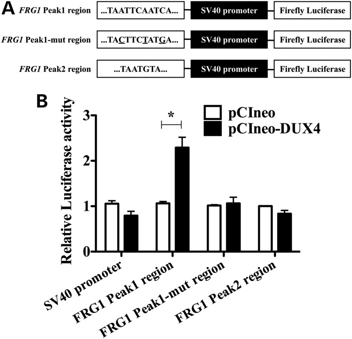 Figure 3.