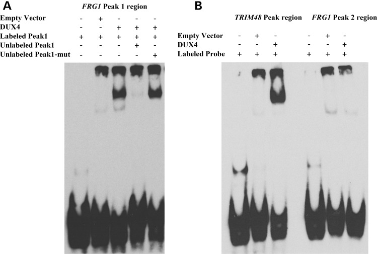 Figure 4.