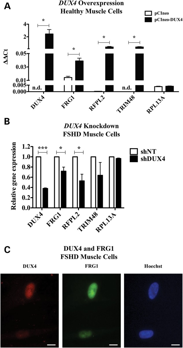 Figure 1.