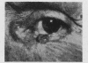 261