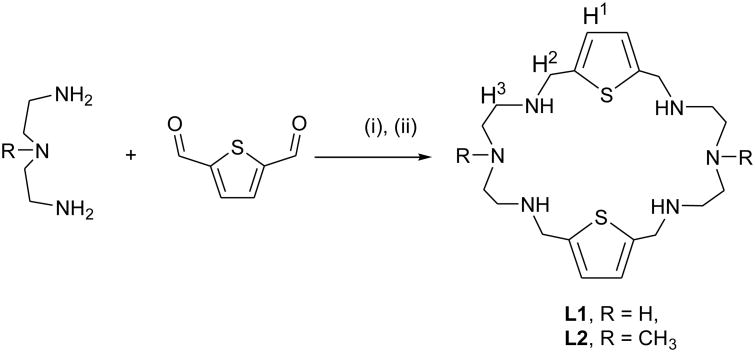 Scheme 1