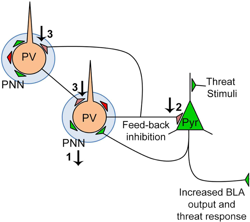 Figure 10.