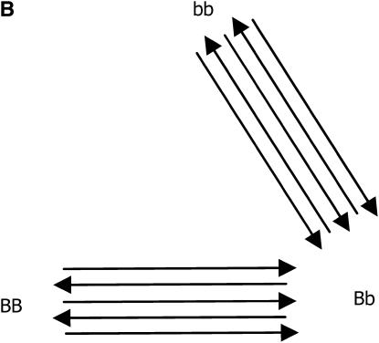 Figure 2.—