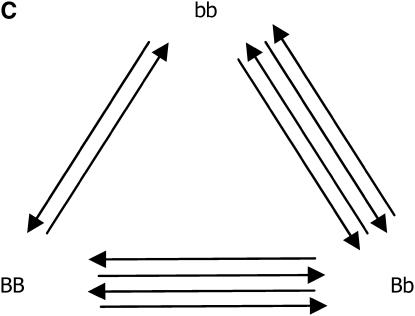 Figure 2.—