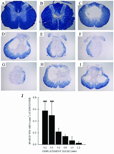 FIG. 7.