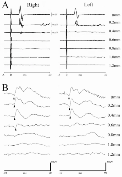 FIG. 6.