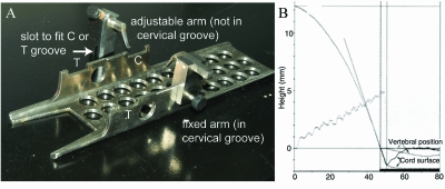 FIG. 2.