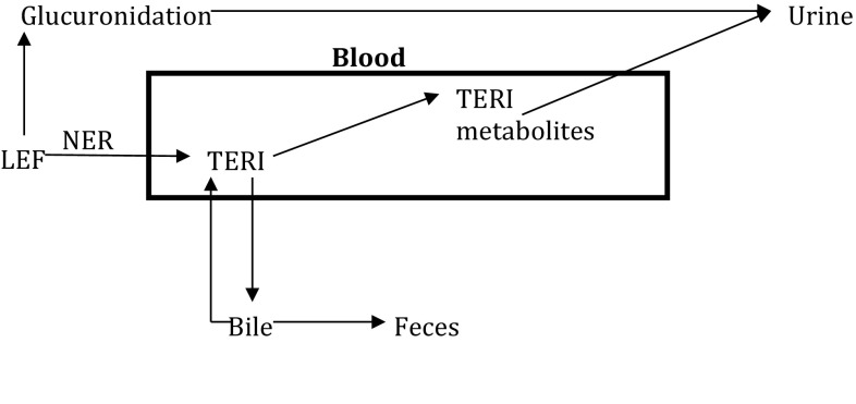 Fig. 1