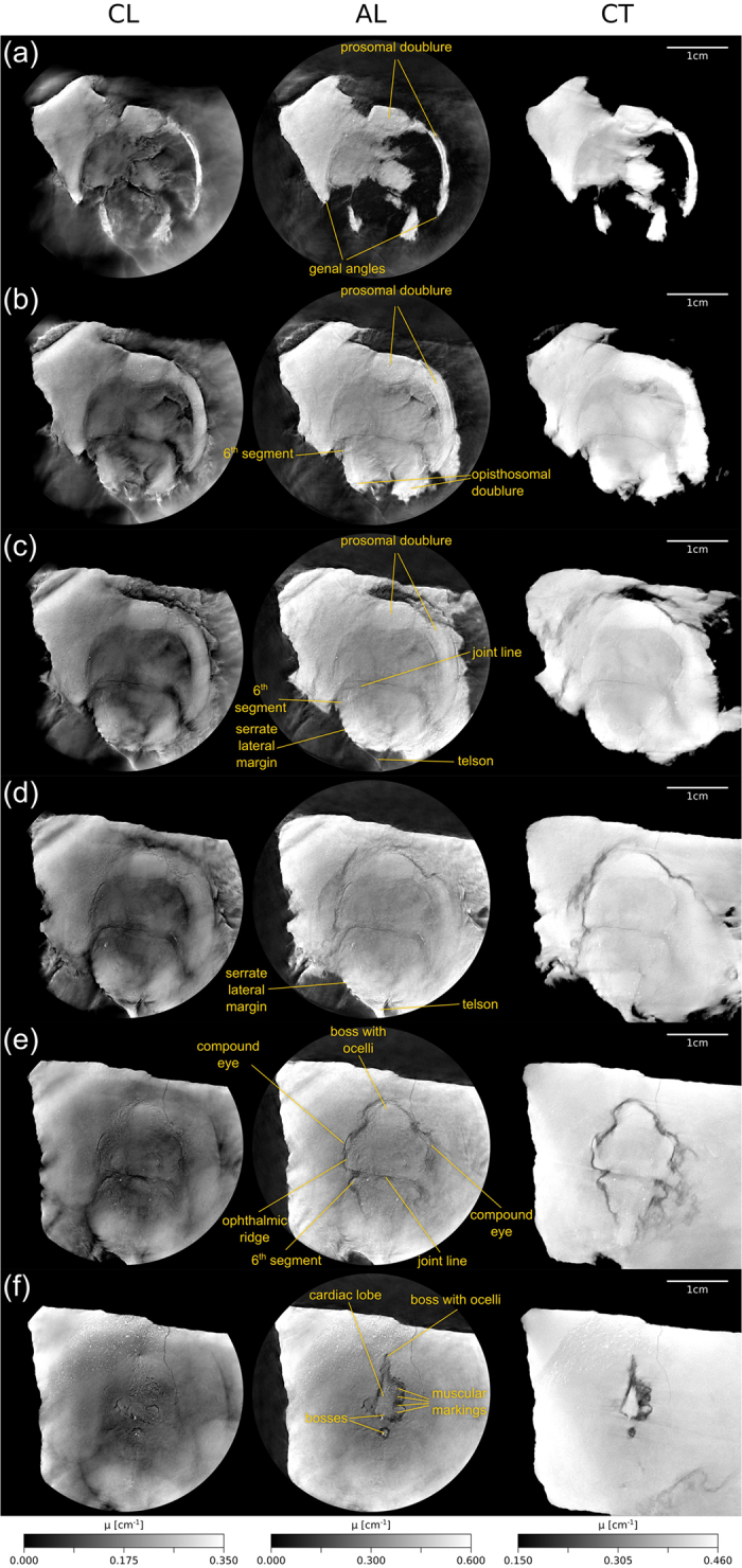 Figure 6