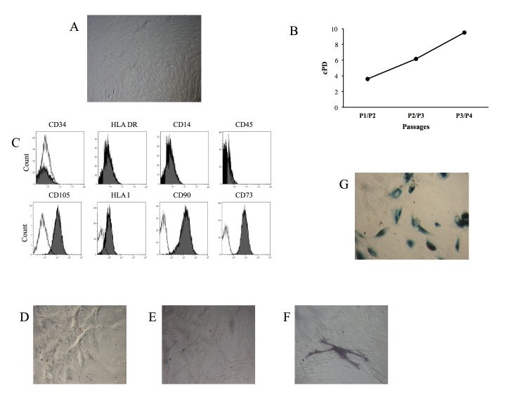 Figure 2: