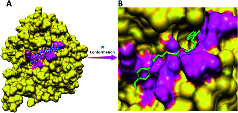 Fig. 10
