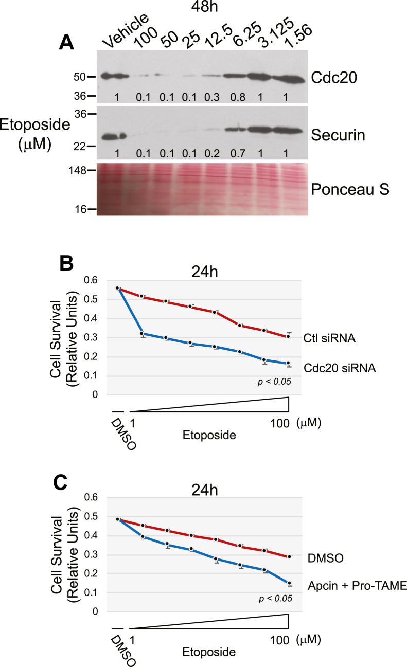 Figure 10