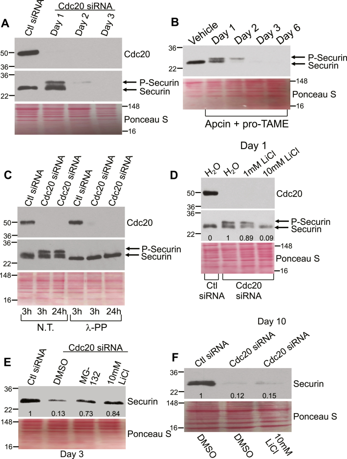 Figure 6