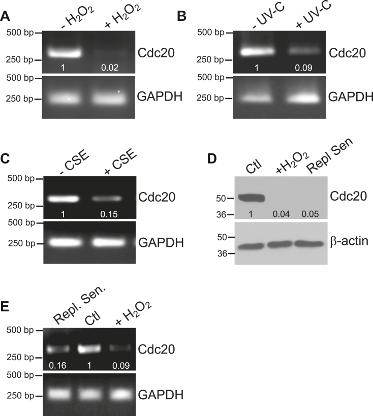 Figure 2