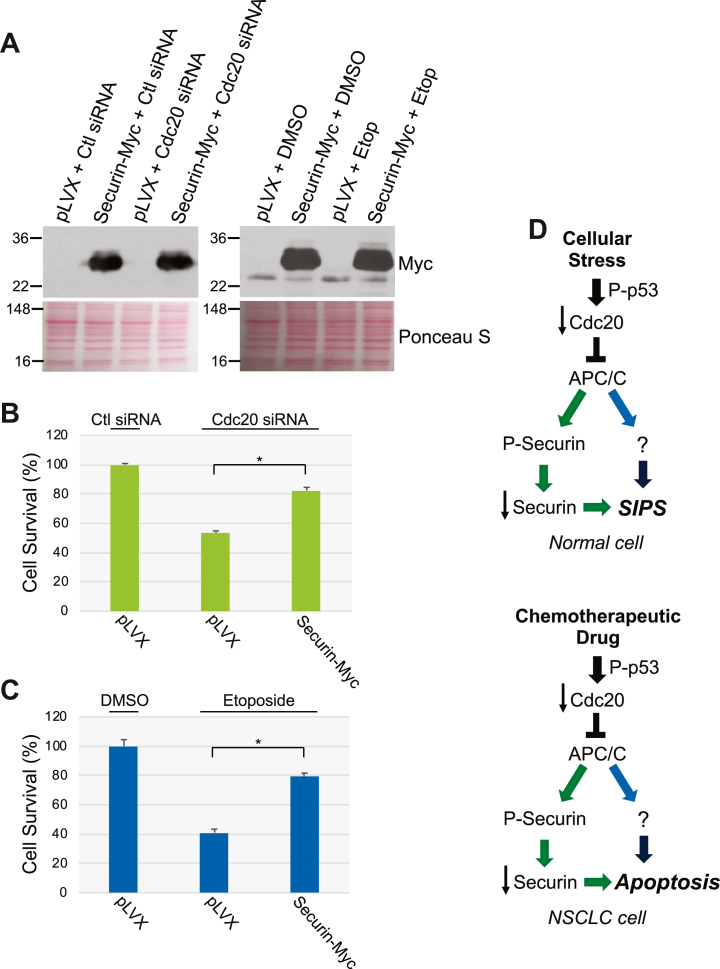 Figure 12